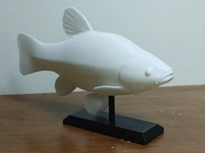 Tench Fish Mount