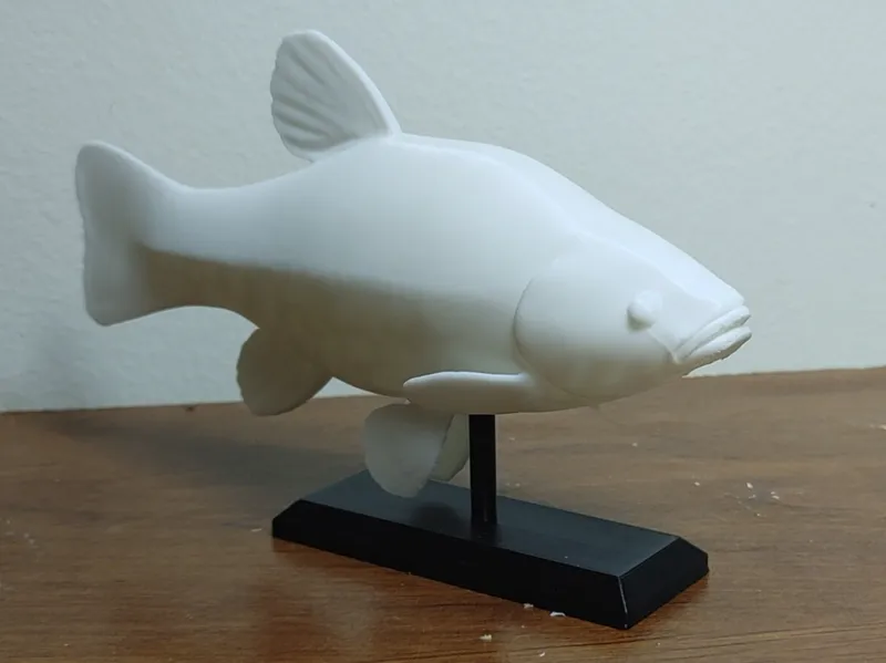 Tench Fish Mount