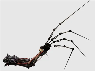 prototype 1006