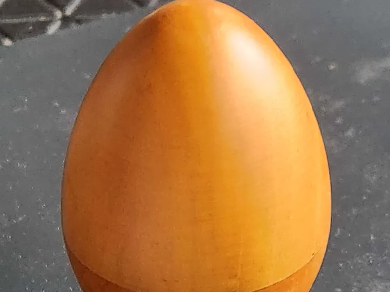 Egg