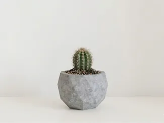 Concrete geometric planter mold