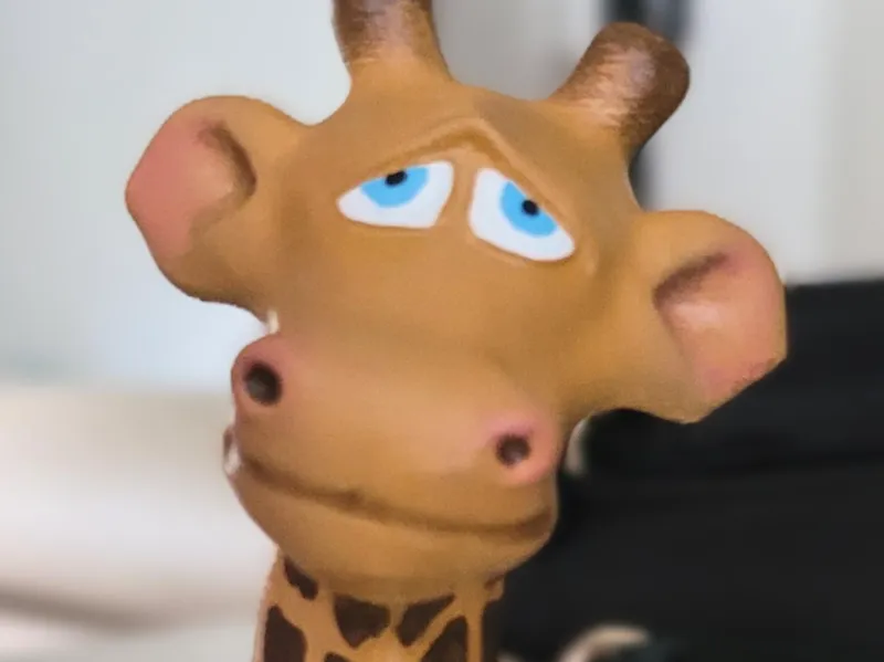giraffe 