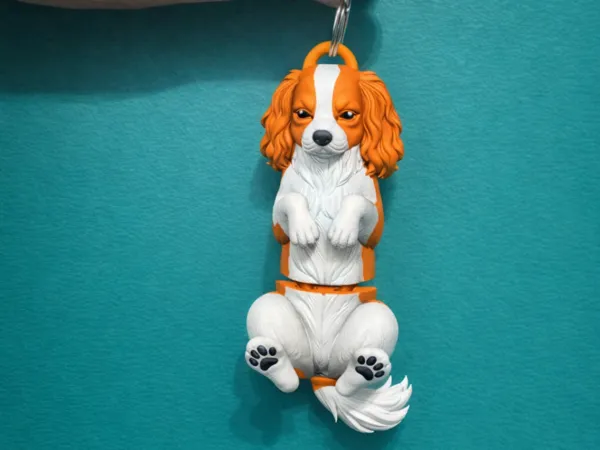 https://makerworld.bblmw.com/makerworld/model/USfd978875fb90e5/design/f83ddd322e5a9684.png