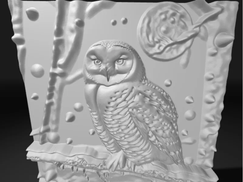 3D Owl Frame
