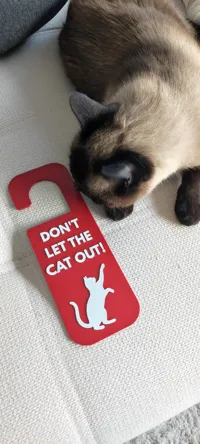 Don't let the cat out sign