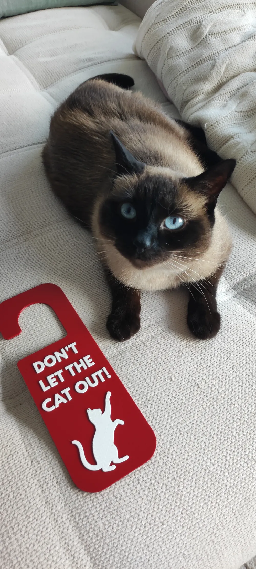 Cat Door Sign - Free 3D Print Model - MakerWorld