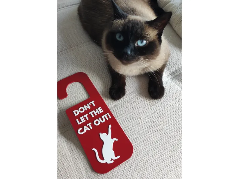 Cat Door Sign