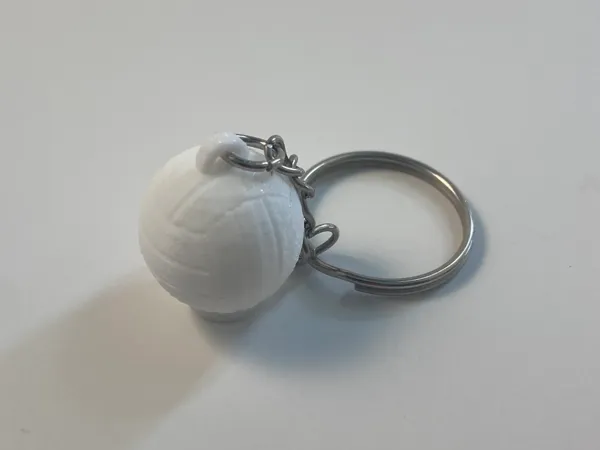 https://makerworld.bblmw.com/makerworld/model/USfda52459a44c55/design/2025-01-22_f6df523045927.webp