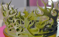Couronne inspirée de la nature — photo 2