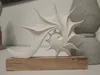 0.12mm layer, 2 walls, 15% infill