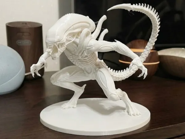 https://makerworld.bblmw.com/makerworld/model/USfdaaaceb608810/design/265d520db5c19d40.png