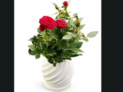 Spiral flowerpot with saucer – 10 cm