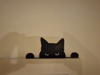Suspicious Guard Cat