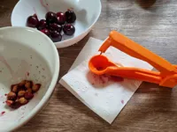 Axe de rechange pour dénoyauteur — photo 3