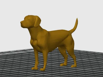 Labrador retriever