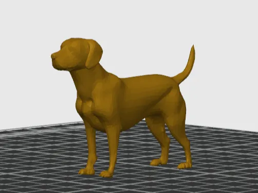 Labrador retriever
