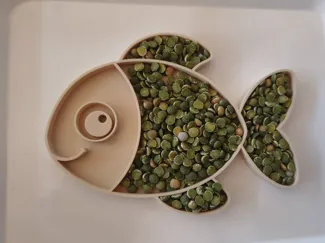 Fish Sensory Tray