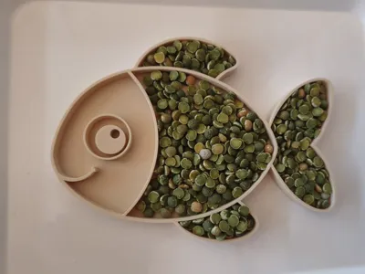 Fish Sensory Tray