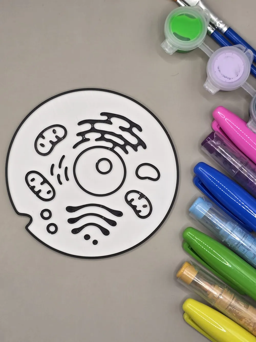 Human Cell Coloring Craft Anatomy - Free 3D Print Model - MakerWorld