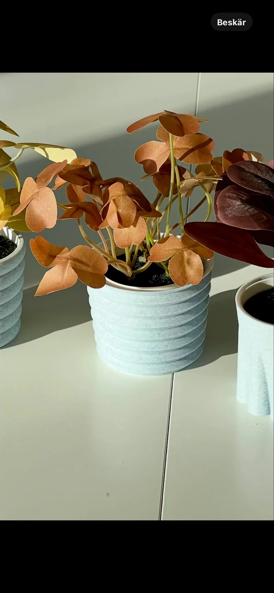 IKEA Fejka 3x kleine Pflanzenpfe  Kostenloses 3D-Druckmodell  MakerWorld
