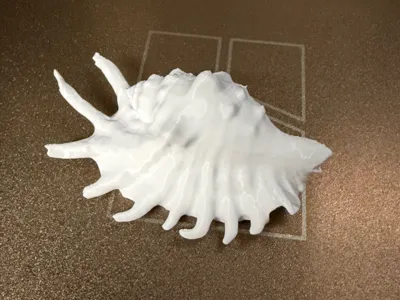 Exotic Shell