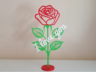 ROSA I LOVE YOU