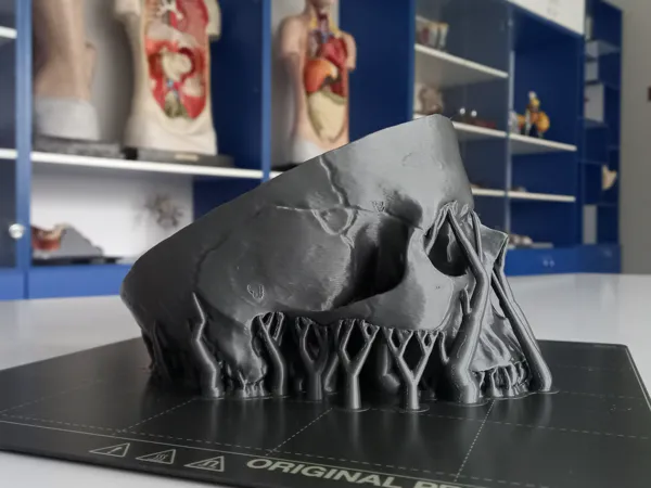 https://makerworld.bblmw.com/makerworld/model/USfdcd0ade3be66c/design/2025-12-01_fe6e92532e0838.jpg