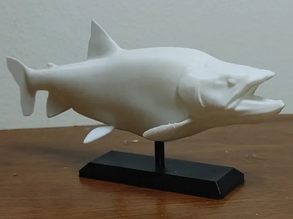https://makerworld.bblmw.com/makerworld/model/USfdcdd42d957b49/design/2025-06-15_42723bb5e5b9e.jpg