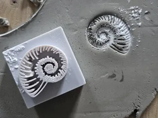 Stempel Ammonit