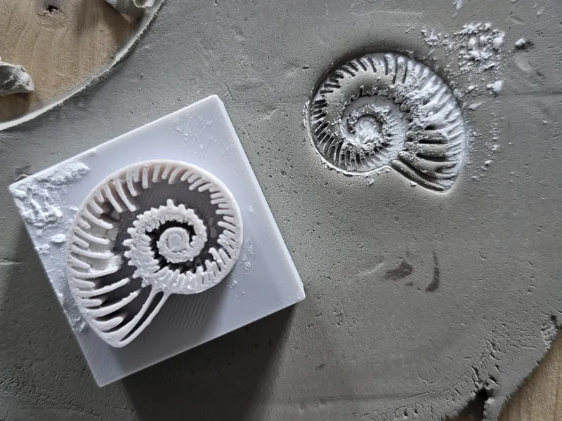 Stempel Ammonit