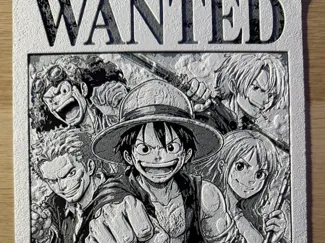 Locandina " WANTED" Luffy e amici