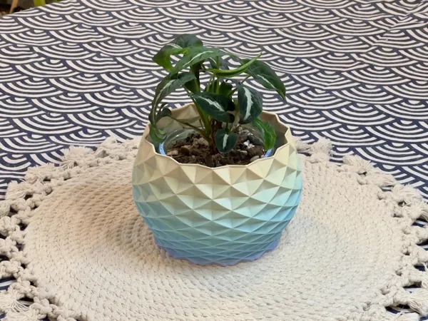 https://makerworld.bblmw.com/makerworld/model/USfdcfe98d4de4e4/design/2024-02-07_dad8b6db26b6f.jpeg