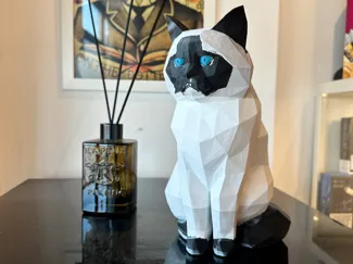 Ragdoll Low Poly