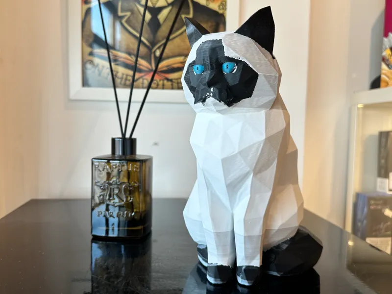 Ragdoll Low Poly