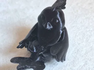 25 min - Mini parrot