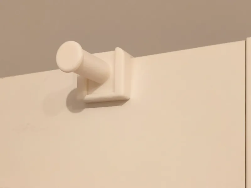 Hanger for Door