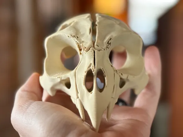 https://makerworld.bblmw.com/makerworld/model/USfddd1a208e285b/design/2025-03-07_6be16a2e0dd8d8.jpg