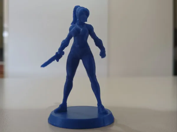 https://makerworld.bblmw.com/makerworld/model/USfdde925d595a80/design/2025-08-06_b0d24b3b5fe8a.jpg