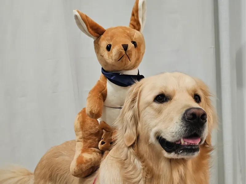 Dog Plushie Harness Saddle