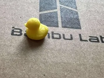 Tiny duck