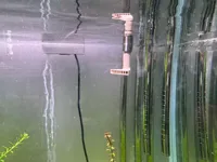 0.2mm 层高, 2 层墙, 15% 填充