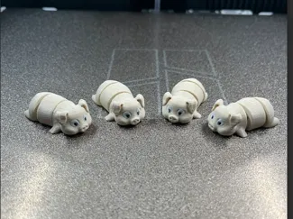 Mini flexi pig