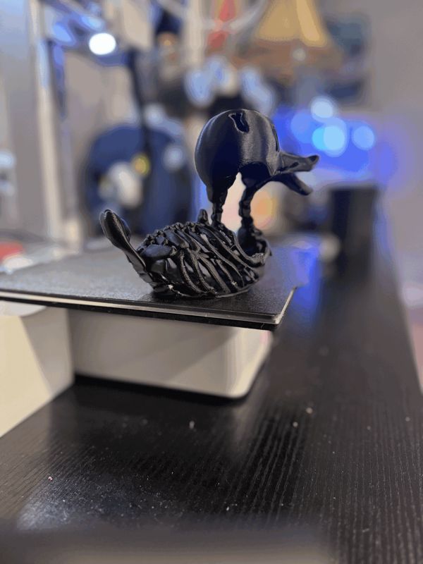 https://makerworld.bblmw.com/makerworld/model/USfdf0d81dad9f8/design/2024-11-16_fd67c42e06de.gif