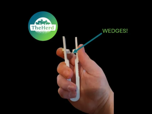Prying Tool with Wedges