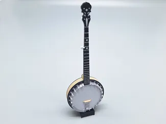 Banjo-5  string Gibson Mastertone