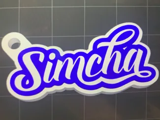 Camp Simcha Keychain