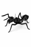 11cm Ant model