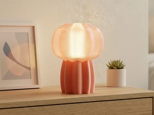 https://makerworld.bblmw.com/makerworld/model/USfe0725aa058245/design/2025-12-30_60f17817982fe.jpg