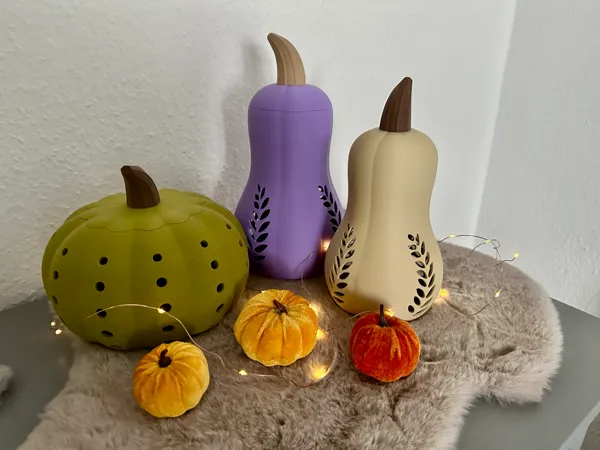 https://makerworld.bblmw.com/makerworld/model/USfe0c732acf158a/design/2025-08-30_37f91128a4f84.jpeg