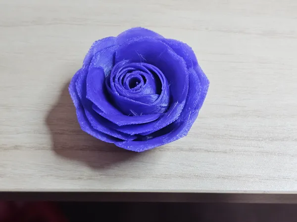 https://makerworld.bblmw.com/makerworld/model/USfe151bc3c53ec1/design/2025-01-07_3fa326bec1c29.jpg